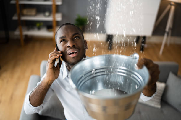 Best Flooded house restoration  in Lecanto, FL