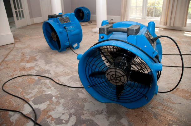 Best Sewage cleanup and water damage restoration  in Lecanto, FL