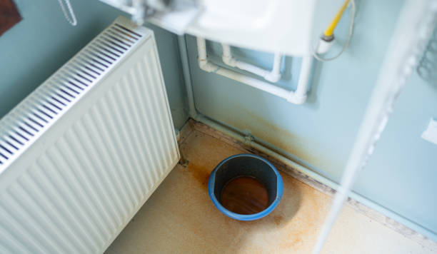 Best Water damage restoration insurance claims  in Lecanto, FL